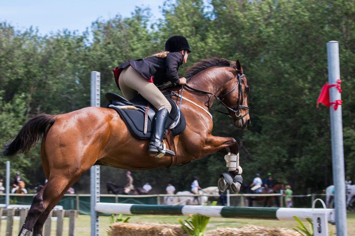 Speaking Up: Why Mental Health Matters in the Equestrian&nbsp;World